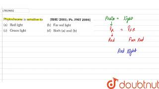 Phytochrome is sensitive to [upl. by Anoj]