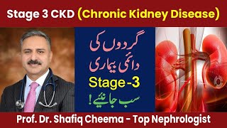 Chronic Kidney Disease CKD Stage 3  Causes Symptoms amp Treatment  Professor Shafiq Cheema [upl. by Enoek366]