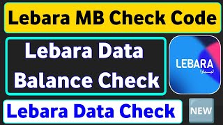 Lebara Mb Check Code  Lebara Data Check  How To Check Lebara Data Balance [upl. by Kenji]