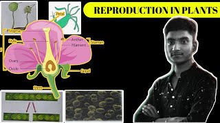 REPRODUCTION IN PLANTS CLASS 7  FULL CHAPTER  AKG CREATION [upl. by Uzzi]