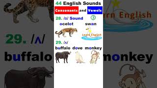 44 English Sounds 3  Consonants and Vowels [upl. by Gnilyam]