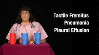 Tactile Fremitus Cups Demonstration [upl. by Grishilde]