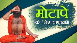 मोटापे Obesity के लिए प्राणायाम  Swami Ramdev [upl. by Worthy]