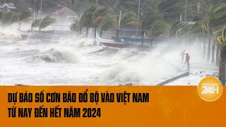 Dự báo số cơn bão đổ bộ vào Việt Nam từ nay đến hết năm 2024 [upl. by Orlene962]