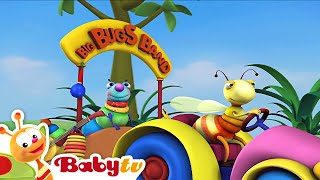 Arabisk musik med Stora insektsbandet 🐜 🐞 🐛  Musik för småbarn🎵 BabyTVSV [upl. by Ecitnirp846]