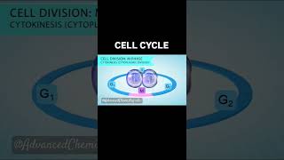 Cell cycleMitosisMeiosisBiology yt shortsfeed bio why fy youtuber [upl. by Salisbarry]