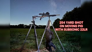 Unbelievable 254 Yard 22LR Hits Moving Pig – See It to Believe It [upl. by Helenka483]