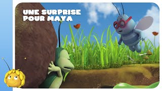 MAYA LABEILLE  UNE SURPRISE POUR MAYA [upl. by Heuser]