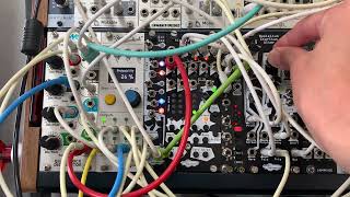 Quad Clock Distributor × Pamelas Pro Work Out × Bin SEQ × Mimetic Digitalis  Modular Synth [upl. by Erlene264]