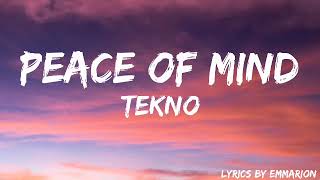 PEACE OF MIND TEKNOLYRICS [upl. by Oiramaj]