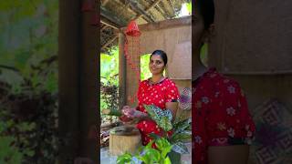 Banana blossom recipe 😋😋  පොලොස් වගේ කෙසෙල් මුව ඇඹුල 😋😋 [upl. by Marvin]