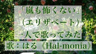 「嵐も怖くない（エリザベート）」一人で歌ってみた（宝塚ver）（Nichts ist schwerElisabeth：Oneman performance） [upl. by Kcirednek783]