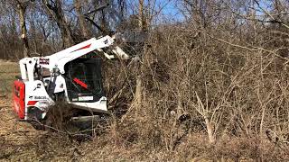 Loftness L series Battle axe forestry mulcher on Bobcat T595 [upl. by Eladroc970]