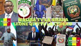 MALIBA TV TRÈS TRÈS URGENT SORTIE IMMINENTE DE LA SIERRA LEONE À LA CEDEAO [upl. by Neelyad]