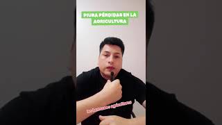 AGRICULTURA EN PIURA SIN AGUA [upl. by Jocelyn]