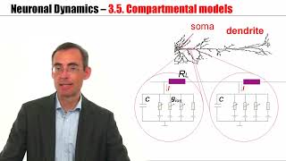 CNS35  Compartmental Models [upl. by Hamish]