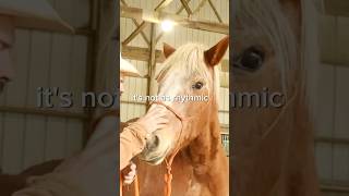 Be rhythmic not sporadic ahrenshorsemanship horse drafthorses [upl. by Cesaria]