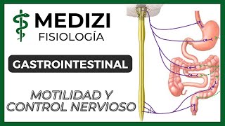 Clase 43 Fisiología Gastrointestinal  Motilidad y Control Nervioso IGdoctorpaiva [upl. by Gore]