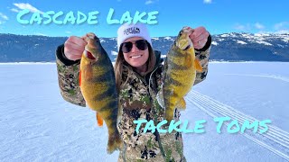 Jumbo Perch on Cascade Lake Idaho with Tackle Tom’s [upl. by Airam]