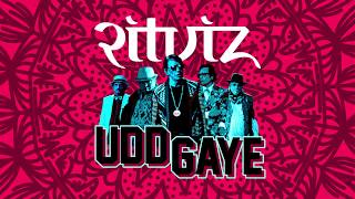 Ritviz  Udd Gaye Official Audio [upl. by Talie]