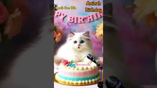 AMINAH HAPPY BIRTHDAY  HAPPY BIRTHDAY SONG WITH NAMES  Adorable Cute Cat 😺 happybirthday cake [upl. by Hendel]