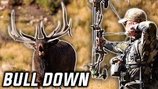 NEW MEXICO BACKCOUNTRY GIANTS PUBLIC LAND [upl. by Dream410]