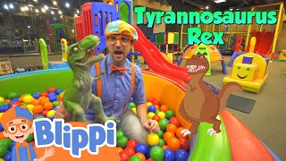 Blippi Visits an Indoor Playground  Learning Videos For Kids  Education Show For Toddlers [upl. by Burbank92]