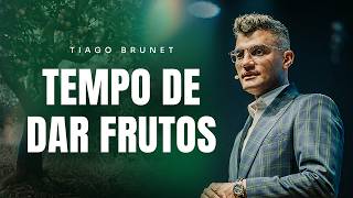 TEMPO DE DAR FRUTOS  TIAGO BRUNET [upl. by Baelbeer]