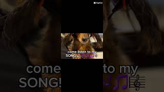 Weiner dog song [upl. by Korb]