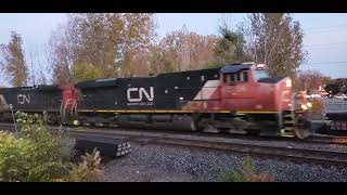 FALL TRAINS Sunset 2 For 1 EXO Commuter Races CN Mixed Freight at Ile Perrot [upl. by Jesh962]