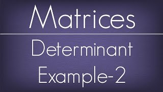 Determinants Example  2  Matrices  Maths Algebra [upl. by Lleroj186]