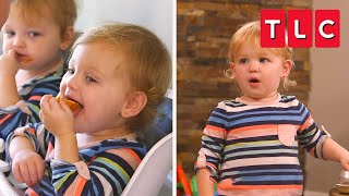 Quint Chaos Top Moments  OutDaughtered  TLC [upl. by Myrta924]