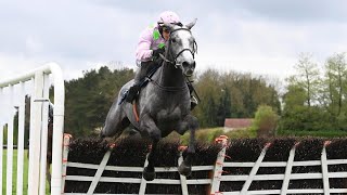 LOSSIEMOUTH completes CheltenhamPunchestown double [upl. by Meeks]