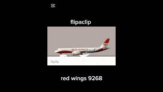 Red wings 9268 aviao crash animation [upl. by Herson]