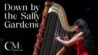 DOWN BY THE SALLY GARDENS Harp amp Voice Claraliz Mora harpandvoice celticsong celticmusic harp [upl. by Trow805]