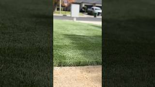 landscape artificialturf grass turf [upl. by Namhcan460]