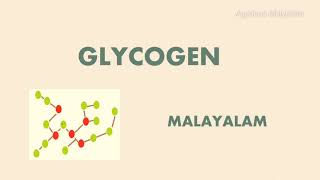 GLYCOGEN  POLYSACCHARIDES  CARBOHYDRATES  MALAYALAM [upl. by Possing330]