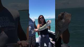 😍 LAKE ERIE WALLEYE 🎣 Capt Ken’s  DuckWater 32’ 📍Port Clinton OH shorts [upl. by Link]