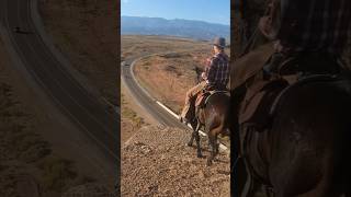 Would you trust your horse by this edge horses horse fyp mustanghorse cowboy [upl. by Acsisnarf]