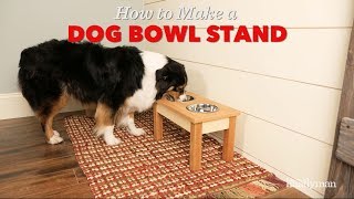 Saturday Morning Workshop How To Build A Dog Bowl Stand [upl. by Nmutua]