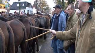 Paardenmarkt in Hedel [upl. by Aiuqram]