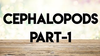 Geologypaleontology lecture series cephalopods part1 [upl. by Brigg778]