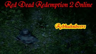 Red Dead Redemption 2 Online  Fundort  Rebhuhnbeere [upl. by Aneres369]