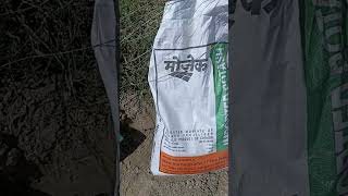 Muriate of Potash  पोटाश का प्रयोग  सरसों में पोटाश  MOP  sarsokikheti  Potash Potassium खाद [upl. by Laughry]