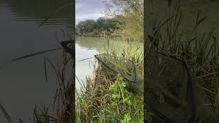 Coking farm woodlands lake carpy carpfish fishing carps fish carp lake carpbasics [upl. by Nilkoorb]