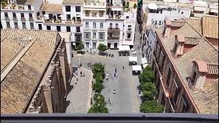 BRASILEIRO NA ESPANHA SEVILHA  Vista de cima da torre Giralda da catedral [upl. by Llenrub]