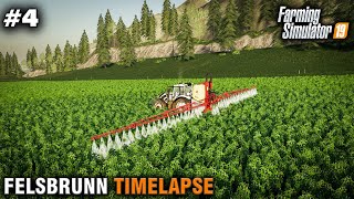 FS19 Timelapse Felsbrunn 4 Contract Work [upl. by Alesandrini8]