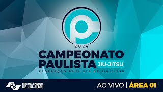 Área 1  Campeonato Paulista 2024 GI Domingo [upl. by Emoraj711]