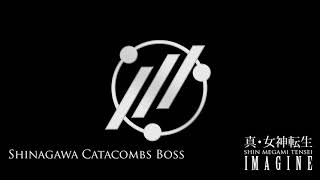 Shinagawa Catacombs Boss  SMT IMAGINE [upl. by Gare]