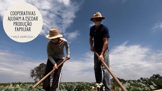 A importância das cooperativas para escoar a produção da agricultura familiar [upl. by Keenan]